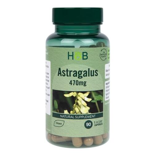 Astragalus