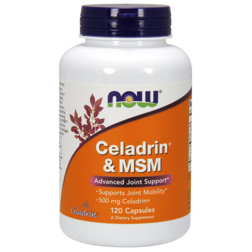 Celadrin & MSM