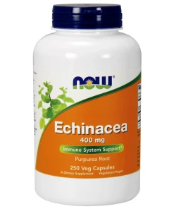Echinacea