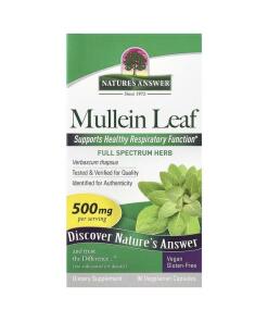 Mullein Leaf