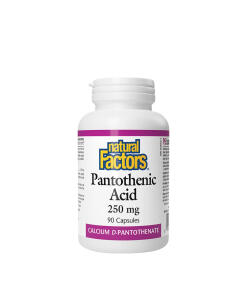 Natural Factors Panthothenic Acid 250 mg (90 Capsules)