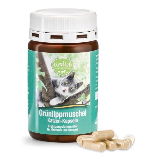 TIERLIEB Green-lipped Mussel Cat Capsules (90 caps)