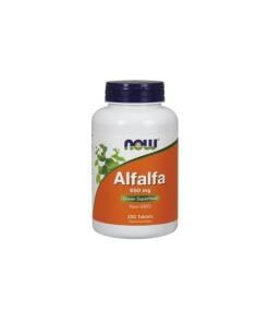 Alfalfa