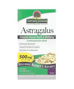 Astragalus Root