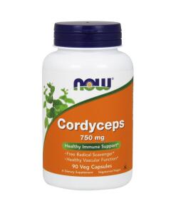 Cordyceps