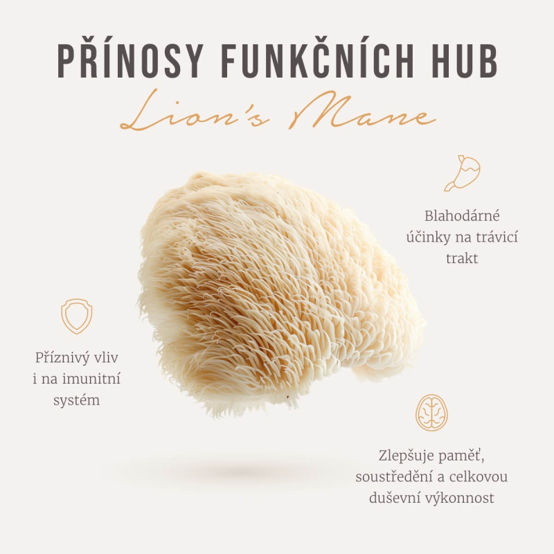 Four Sigmatic - Bio Oroszlánsörénygomba Elixír Mix - 1 csomag - Image 2