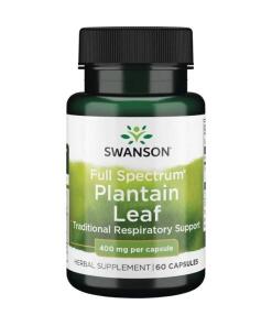 Full Spectrum Plantain Leaf