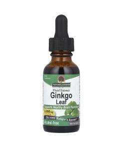 Ginkgo Leaf