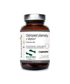 KENAY Milk thistle Siliphos (60 caps)