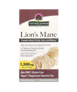 Lion's Mane