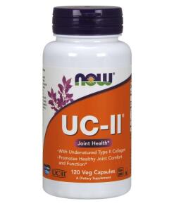 UC-II Undenatured Type II Collagen - 120 caps