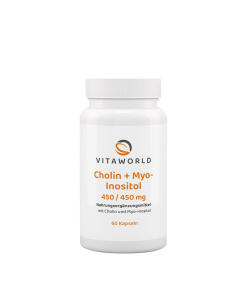 Vitaworld Choline + Inositol 450/450 mg (60 Capsules)