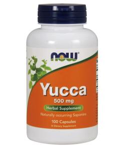 Yucca